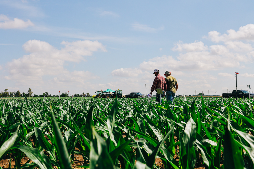 Every Drop Counts: Lessons from the Most Efficient TAPS Farm