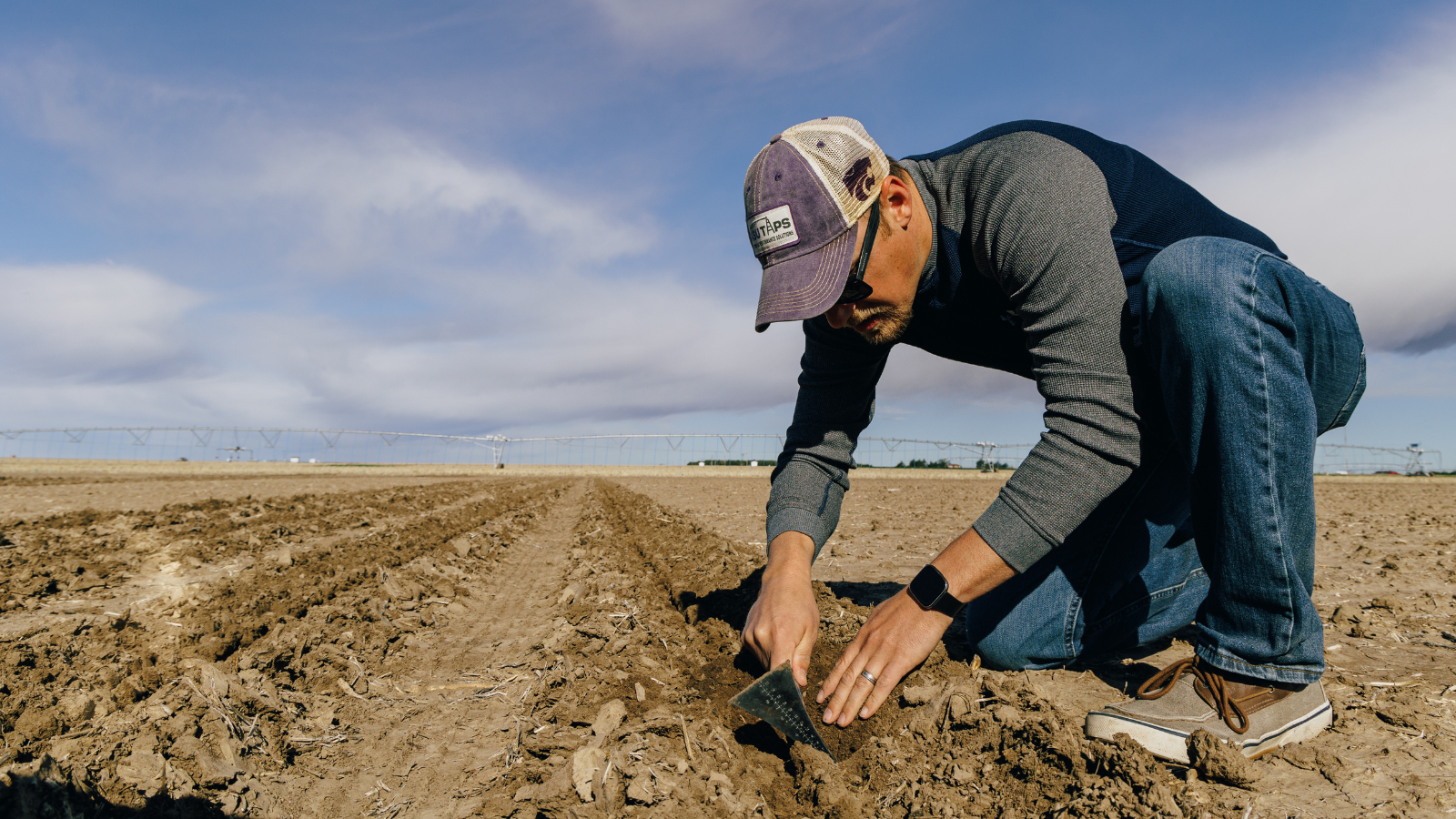 What KSU-TAPS Data Tells Us About Seeding Rate Decisions